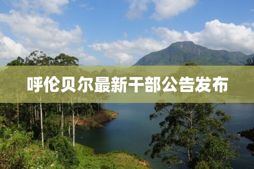 呼伦贝尔最新干部公告发布