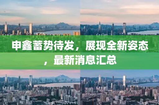 申鑫蓄势待发，展现全新姿态，最新消息汇总
