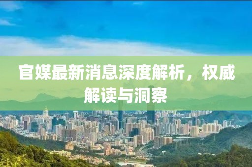 官媒最新消息深度解析，权威解读与洞察
