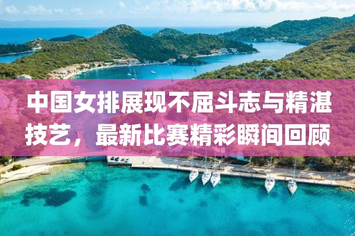 中国女排展现不屈斗志与精湛技艺，最新比赛精彩瞬间回顾