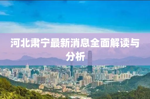 河北肃宁最新消息全面解读与分析