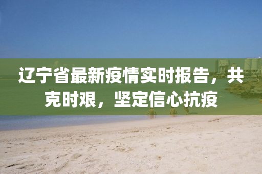 辽宁省最新疫情实时报告，共克时艰，坚定信心抗疫