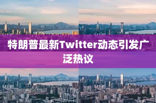 特朗普最新Twitter动态引发广泛热议