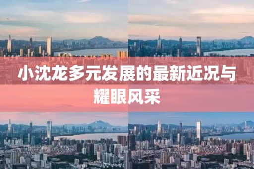 小沈龙多元发展的最新近况与耀眼风采