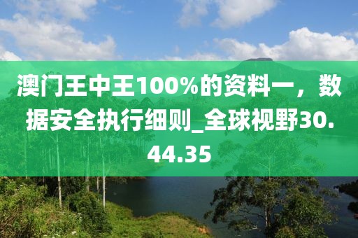 澳门王中王100%的资料一，数据安全执行细则_全球视野30.44.35