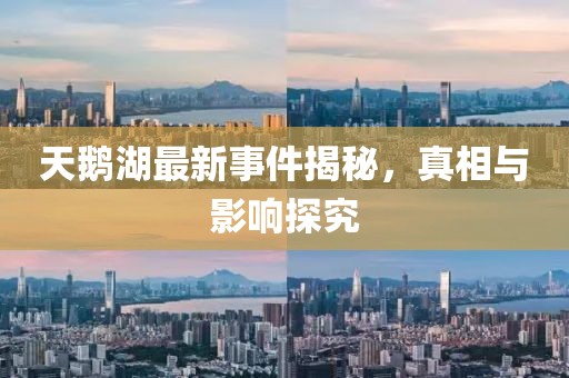 天鹅湖最新事件揭秘，真相与影响探究