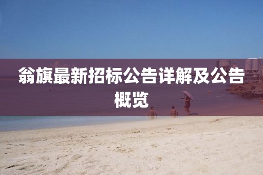 翁旗最新招标公告详解及公告概览