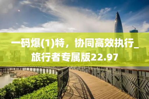 一码爆(1)特，协同高效执行_旅行者专属版22.97