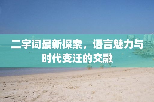 二字词最新探索，语言魅力与时代变迁的交融