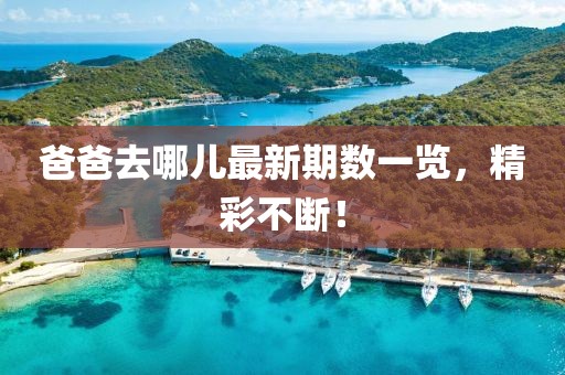 爸爸去哪儿最新期数一览，精彩不断！