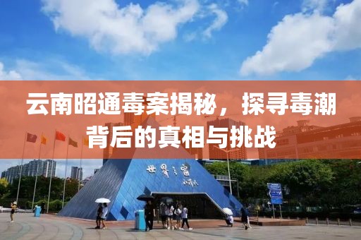 云南昭通毒案揭秘，探寻毒潮背后的真相与挑战