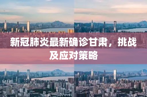 新冠肺炎最新确诊甘肃，挑战及应对策略