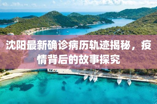 沈阳最新确诊病历轨迹揭秘，疫情背后的故事探究