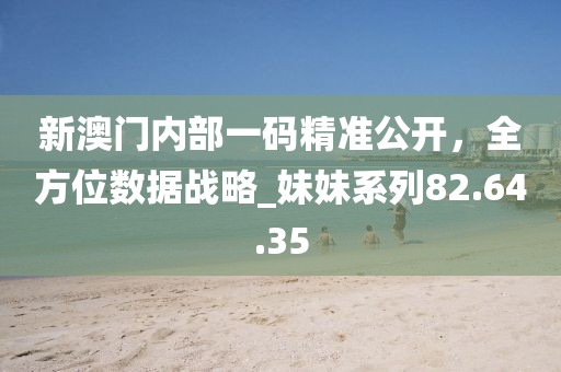 新澳门内部一码精准公开，全方位数据战略_妹妹系列82.64.35
