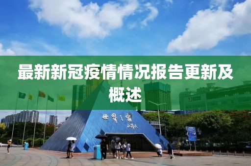 最新新冠疫情情况报告更新及概述