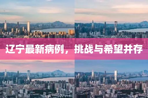辽宁最新病例，挑战与希望并存