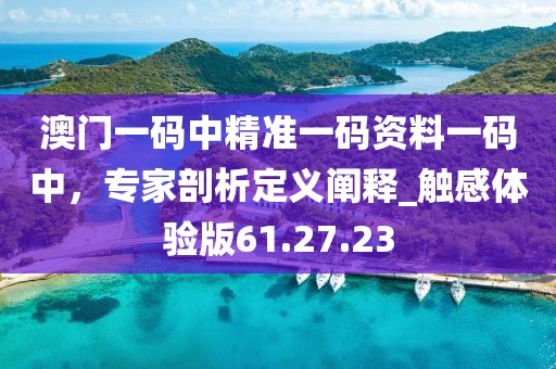 澳门一码中精准一码资料一码中，专家剖析定义阐释_触感体验版61.27.23