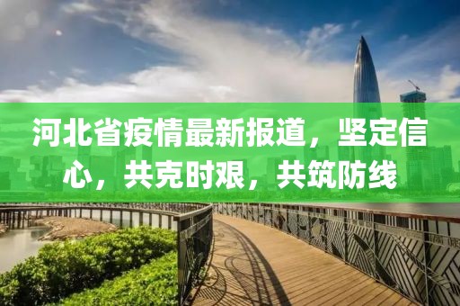 河北省疫情最新报道，坚定信心，共克时艰，共筑防线