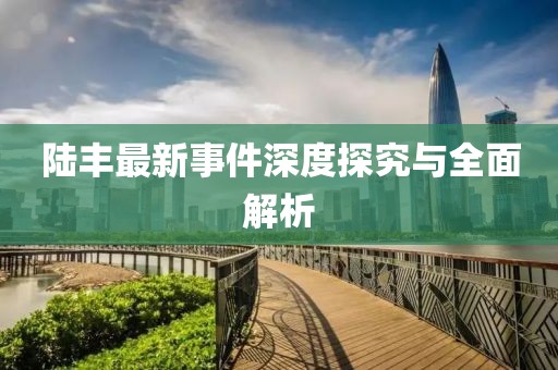 陆丰最新事件深度探究与全面解析
