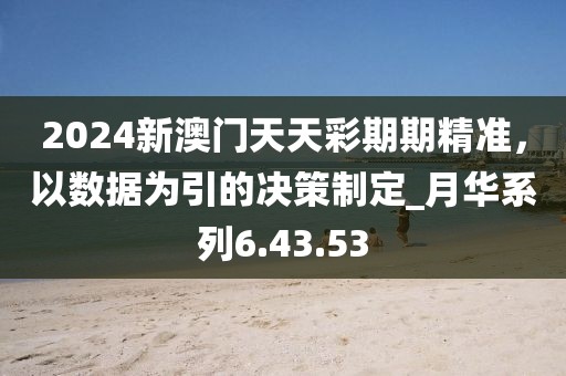2024新澳门天天彩期期精准，以数据为引的决策制定_月华系列6.43.53
