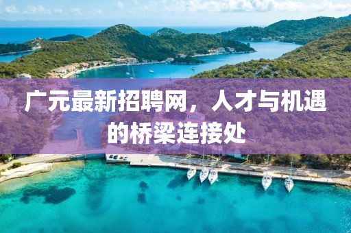 广元最新招聘网，人才与机遇的桥梁连接处