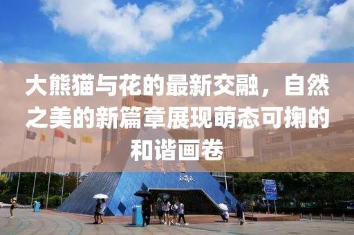 大熊猫与花的最新交融，自然之美的新篇章展现萌态可掬的和谐画卷
