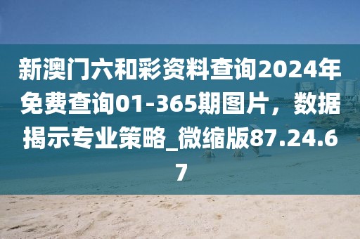 新澳门六和彩资料查询2024年免费查询01-365期图片，数据揭示专业策略_微缩版87.24.67