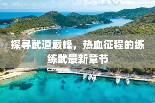 探寻武道巅峰，热血征程的练练武最新章节