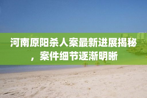 河南原阳杀人案最新进展揭秘，案件细节逐渐明晰