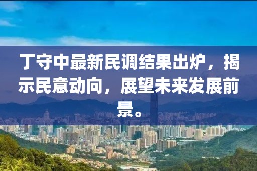 丁守中最新民调结果出炉，揭示民意动向，展望未来发展前景。