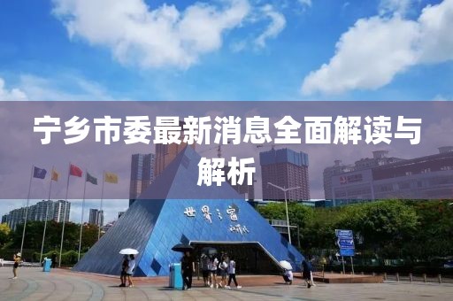 宁乡市委最新消息全面解读与解析