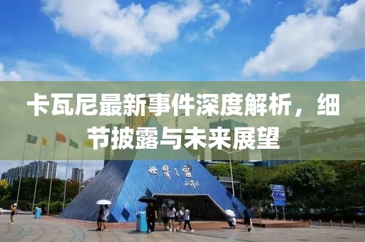 卡瓦尼最新事件深度解析，细节披露与未来展望