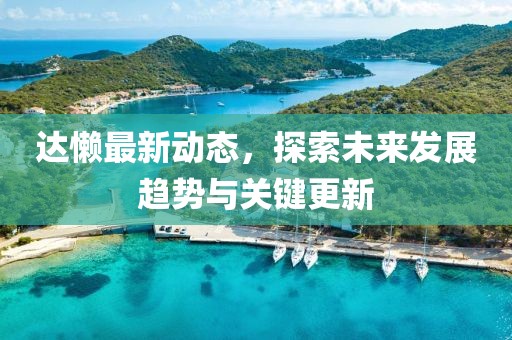 达懒最新动态，探索未来发展趋势与关键更新
