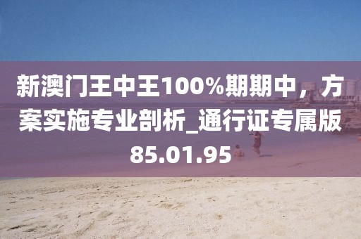 新澳门王中王100%期期中，方案实施专业剖析_通行证专属版85.01.95