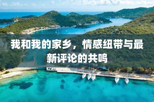 我和我的家乡，情感纽带与最新评论的共鸣