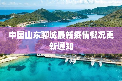 中国山东聊城最新疫情概况更新通知