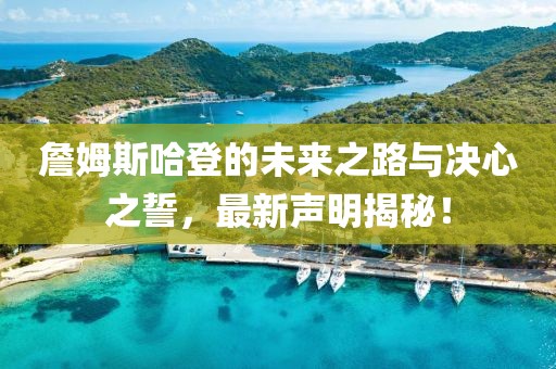 詹姆斯哈登的未来之路与决心之誓，最新声明揭秘！