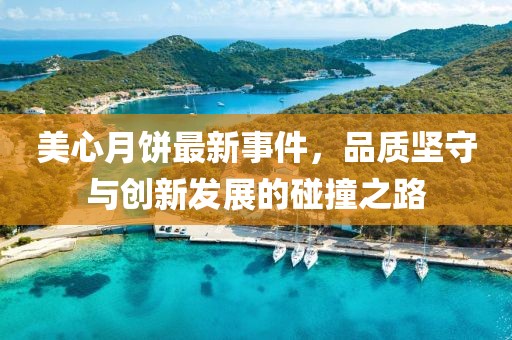 美心月饼最新事件，品质坚守与创新发展的碰撞之路