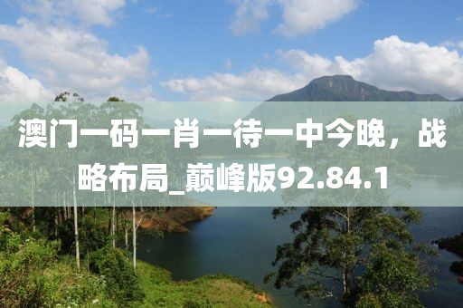 澳门一码一肖一待一中今晚，战略布局_巅峰版92.84.1