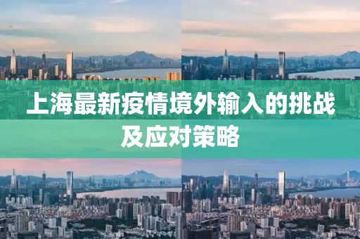 上海最新疫情境外输入的挑战及应对策略