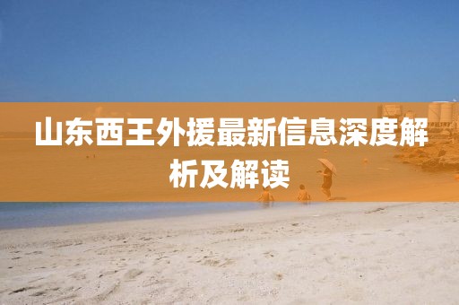 山东西王外援最新信息深度解析及解读