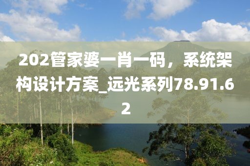202管家婆一肖一码，系统架构设计方案_远光系列78.91.62