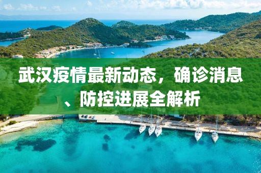武汉疫情最新动态，确诊消息、防控进展全解析