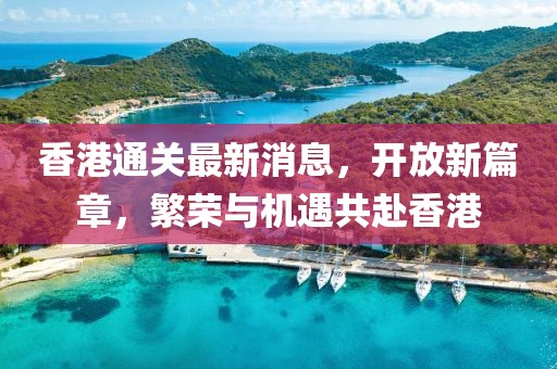 香港通关最新消息，开放新篇章，繁荣与机遇共赴香港