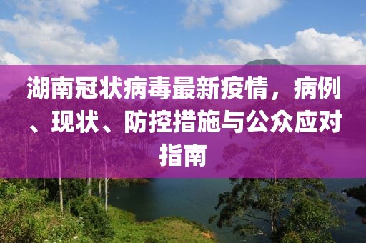 湖南冠状病毒最新疫情，病例、现状、防控措施与公众应对指南