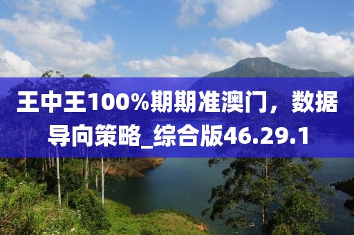 王中王100%期期准澳门，数据导向策略_综合版46.29.1