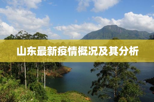 山东最新疫情概况及其分析