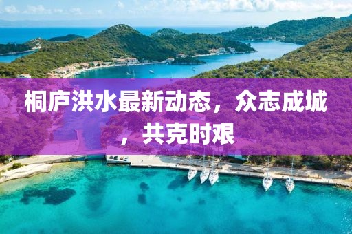 桐庐洪水最新动态，众志成城，共克时艰