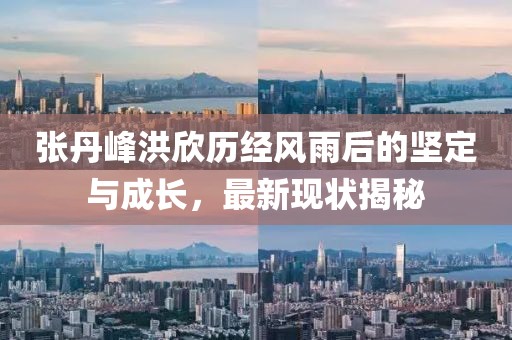 张丹峰洪欣历经风雨后的坚定与成长，最新现状揭秘
