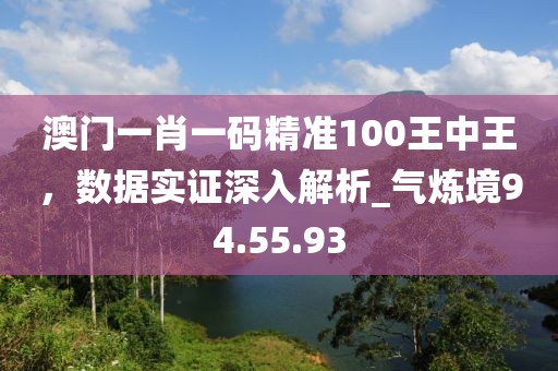 澳门一肖一码精准100王中王，数据实证深入解析_气炼境94.55.93